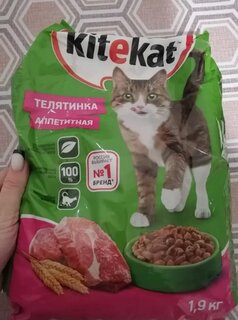 Корм для животных Kitekat, 1900 г, для взрослых кошек, сухой, аппетитная телятинка, пакет, 10132149 - фото 6 от пользователя