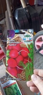Семена Редис, Королева Рынка, 2 г, цветная упаковка, Седек - фото 5 от пользователя