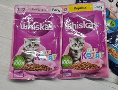 Корм для животных Whiskas, 75 г, для котят, 1-12 месяцев, рагу, курица, пауч, G8480 - фото 2 от пользователя