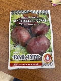 Семена Свекла, Египетская плоская, 3 г, Кольчуга, цветная упаковка, Русский огород - фото 5 от пользователя