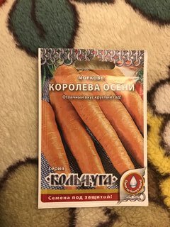 Семена Морковь, Королева Осени, 2 г, Кольчуга, цветная упаковка, Русский огород - фото 4 от пользователя
