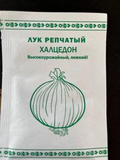 Семена Лук репчатый, Халцедон, 0.5 г, Первая цена, белая упаковка, Русский огород - фото 2 от пользователя
