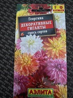 Семена Цветы, Георгина, Декоративные гиганты, 0.2 г, смесь сортов, цветная упаковка, Аэлита - фото 2 от пользователя