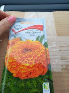 Семена Цветы, Бархатцы, Гавайи, 0.4 г, цветная упаковка, Поиск - фото 7 от пользователя