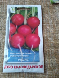 Семена Редис, Дуро, 3 г, цветная упаковка, Тимирязевский питомник - фото 1 от пользователя