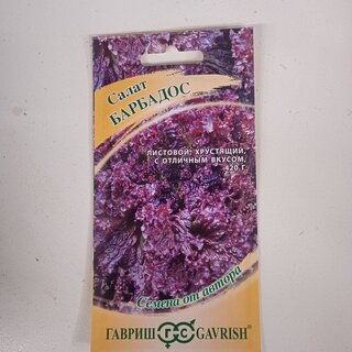 Семена Салат листовой, Барбадос красный, 0.5 г, Семена от автора, цветная упаковка, Гавриш - фото 5 от пользователя