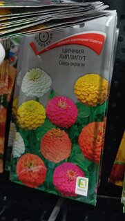 Семена Цветы, Цинния, Лиллипут смесь окрасок, 0.4 г, цветная упаковка, Поиск - фото 9 от пользователя