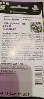 Семена Цветы, Астра, Сирена Лавандовая, 0.05 г, цветная упаковка, Поиск - фото 3 от пользователя