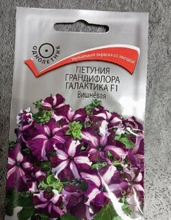Семена Цветы, Петуния, Галактика F1 Вишневая, грандифлора, цветная упаковка, Поиск - фото 9 от пользователя