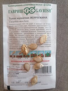 Семена Тыква, Жемчужина мускатная, 1 г, цветная упаковка, Гавриш - фото 8 от пользователя