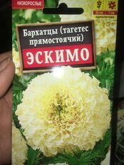 Семена Цветы, Бархатцы, Эскимо, 0.05 г, прямостоящие, цветная упаковка, Аэлита - фото 3 от пользователя