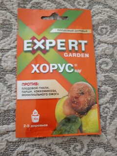 Фунгицид Хорус, от болезней плодовых культур, 2 г, Expert Garden - фото 6 от пользователя