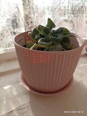 Горшок для цветов пластик, 2.8 л, 18х14 см, фисташковый, Idea, Вязание, М 3121 - фото 8 от пользователя