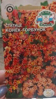 Семена Цветы, Статице, Конек-Горбунок, 0.06 г, нежно-абрикосовый, цветная упаковка, Седек - фото 1 от пользователя