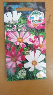 Семена Цветы, Космея, Морская раковина, 0.3 г, цветная упаковка, Седек - фото 4 от пользователя