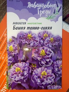 Семена Цветы, Аквилегия, Лавандовые грезы, 0.05 г, темно-синяя, обыкновенная, цветная упаковка, Гавриш - фото 4 от пользователя