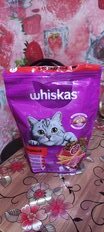 Корм для животных Whiskas, 800 г, для взрослых кошек 1+, сухой, говядина, подушечки с паштетом, пакет, G3658 - фото 6 от пользователя