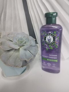 Шампунь Herbal Essences, Аромат лаванды, 350 мл - фото 1 от пользователя