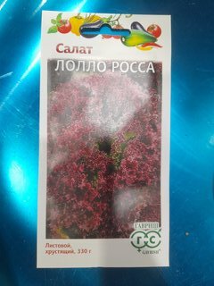 Семена Салат, Лолло Росса, 0.5 г, Удачные семена, листовой, бордовые, цветная упаковка, Гавриш - фото 7 от пользователя