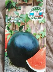 Семена Арбуз, Коралл, 1 г, цветная упаковка, Седек - фото 8 от пользователя