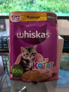 Корм для животных Whiskas, 75 г, для котят, 1-12 месяцев, паштет, курица, пауч, G8472 - фото 5 от пользователя