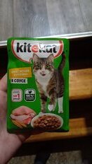 Корм для животных Kitekat, 85 г, для кошек, курица в соусе, пауч - фото 8 от пользователя