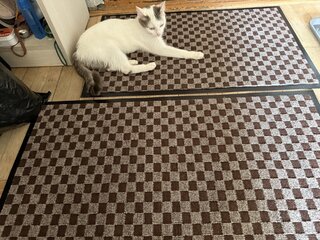 Коврик придверный, 60х90 см, прямоугольный, ПВХ, коричневый, Жаккард , ComeForte, НР-211 - фото 2 от пользователя