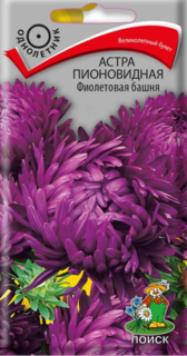 Семена Цветы, Астра, Фиолетовая башня, 0.3 г, пионовидная, цветная упаковка, Поиск - фото 3 от пользователя