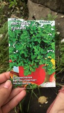 Семена Петрушка листовая, Плайн, 2 г, цветная упаковка, Седек - фото 8 от пользователя