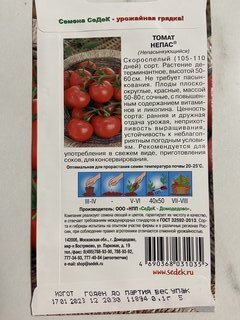 Семена Томат, Непас Непасынкующийся, 0.1 г, цветная упаковка, Седек - фото 2 от пользователя