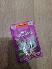 Корм для животных Whiskas, 75 г, для взрослых кошек 1+, рагу, телятина, пауч, G8485 - фото 9 от пользователя