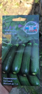 Семена Кабачок-цуккини, Цукеша, цветная упаковка, Седек - фото 9 от пользователя