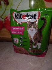 Корм для животных Kitekat, 350 г, для взрослых кошек, сухой, аппетитная телятинка, пакет, 10132145 - фото 1 от пользователя