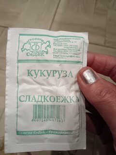 Семена Кукуруза, Сладкоежка МФ, 4 г, сахарная, 4543, белая упаковка, Седек - фото 7 от пользователя