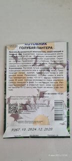 Семена Цветы, Котовник, Голубая пантера, цветная упаковка, Поиск - фото 7 от пользователя