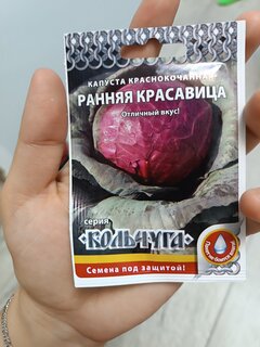 Семена Капуста краснокочанная, Ранняя красавица, 0.5 г, Кольчуга, цветная упаковка, Русский огород - фото 1 от пользователя