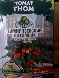 Семена Томат, Гном, 0.1 г, Домашняя грядка, цветная упаковка, Тимирязевский питомник - фото 1 от пользователя