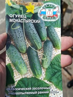 Семена Огурец, Монастырский, 0.3 г, цветная упаковка, Седек - фото 2 от пользователя