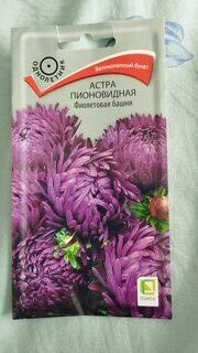 Семена Цветы, Астра, Фиолетовая башня, 0.3 г, пионовидная, цветная упаковка, Поиск - фото 9 от пользователя