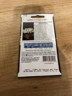 Семена Цветы, Колокольчик, Белоснежка карпатский, 0.1 г, цветная упаковка, Седек - фото 7 от пользователя