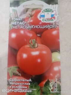 Семена Томат, Непас Непасынкующийся, 0.1 г, цветная упаковка, Седек - фото 6 от пользователя