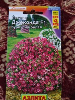 Семена Цветы, Петуния, Джоконда F1 пурпурно-белая, 7 шт, цветная упаковка, Аэлита - фото 2 от пользователя