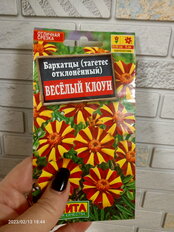 Семена Цветы, Бархатцы, Веcелый клоун, 0.1 г, отклоненные, цветная упаковка, Аэлита - фото 1 от пользователя