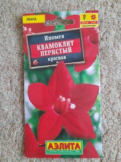 Семена Цветы, Ипомея, Квамоклит красная, 0.5 г, цветная упаковка, Аэлита - фото 6 от пользователя