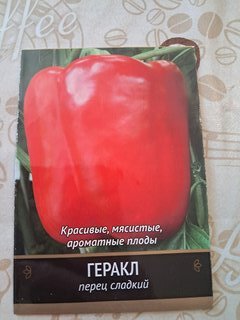 Семена Перец сладкий, Геракл, 0.25 г, цветная упаковка, Поиск - фото 7 от пользователя