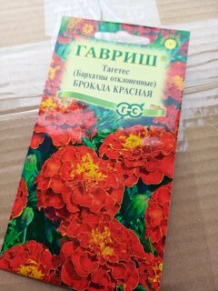Семена Цветы, Бархатцы, Брокада красная Тагетес, 0.3 г, отклоненные, цветная упаковка, Гавриш - фото 5 от пользователя