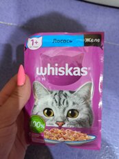 Корм для животных Whiskas, 75 г, для взрослых кошек 1+, кусочки в желе, лосось, пауч, G8461 - фото 1 от пользователя