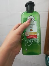 Шампунь Herbal Essences, Защита цвета и блеск Алоэ/Манго, для окрашенных волос, 380 мл - фото 4 от пользователя