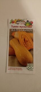 Семена Тыква, Жемчужина мускатная, 1 г, цветная упаковка, Гавриш - фото 6 от пользователя