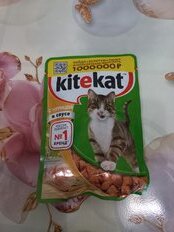 Корм для животных Kitekat, 85 г, для кошек, курица в соусе, пауч - фото 4 от пользователя